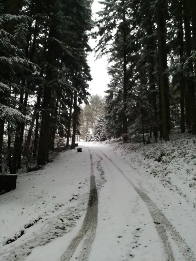 Domek Na Górce Bieszczady Lesko Exterior foto
